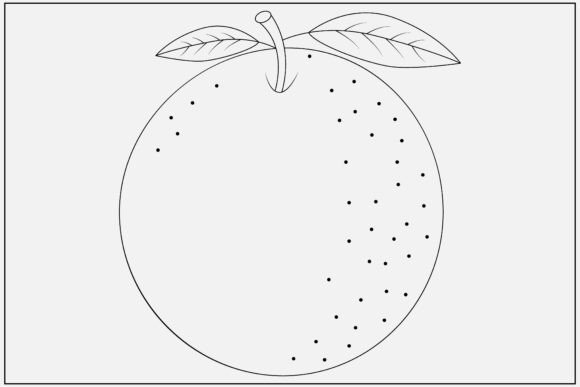 Download Orange Slice Line Art Clean Design - Orange Collection